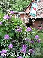 Back Yard 2