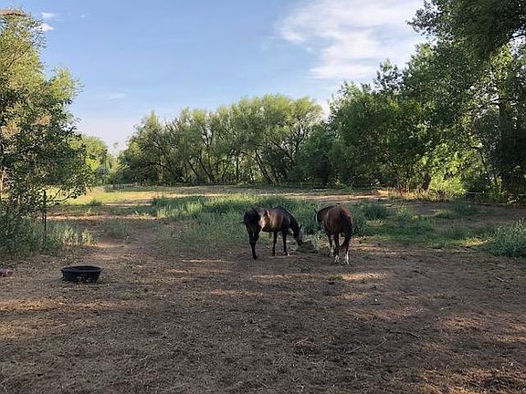 South pasture...shows family friends 2 horses