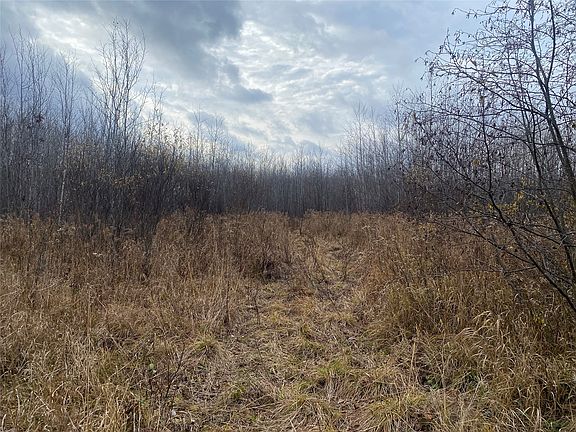 2nd image of Near Timber Road