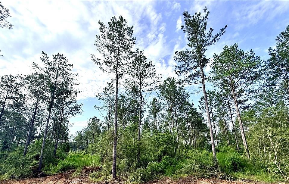 2nd image of Lot2a 442ac Lee Rd