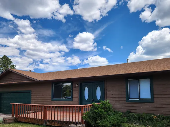 103 Glovers Ln, Woodland Park, CO 80863
