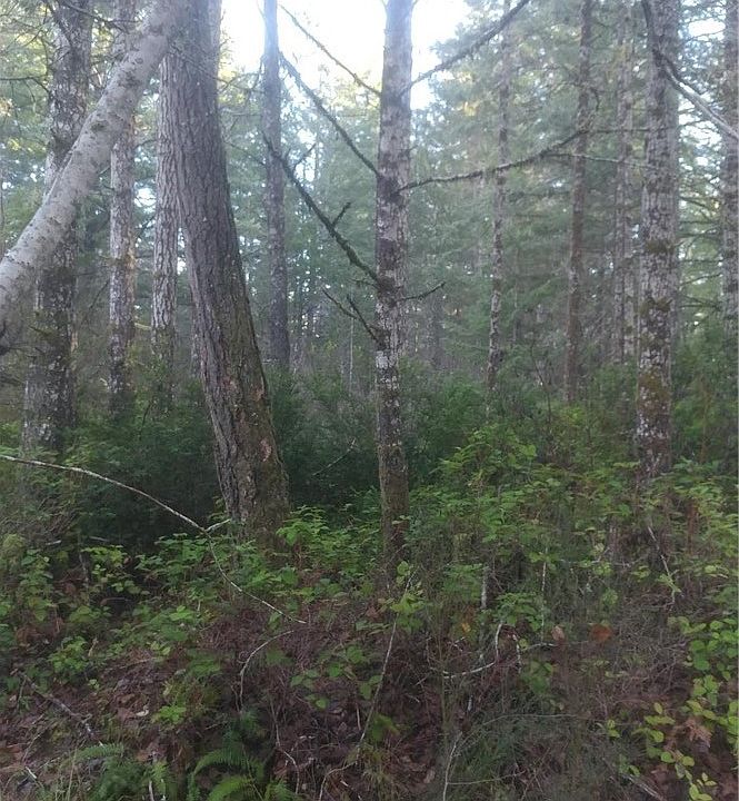 2nd image of 11 NE Lake Ct