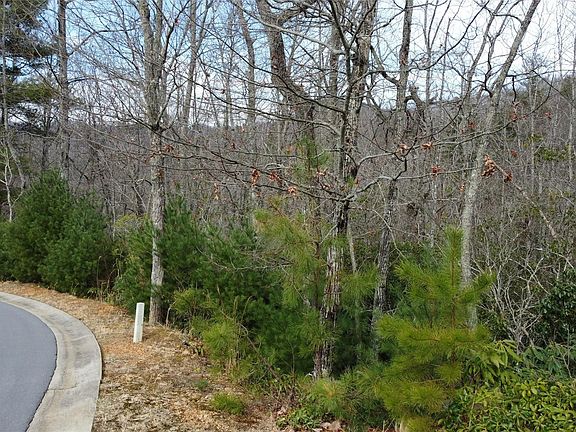 5th image of 33 Settings Blvd Lot 45
