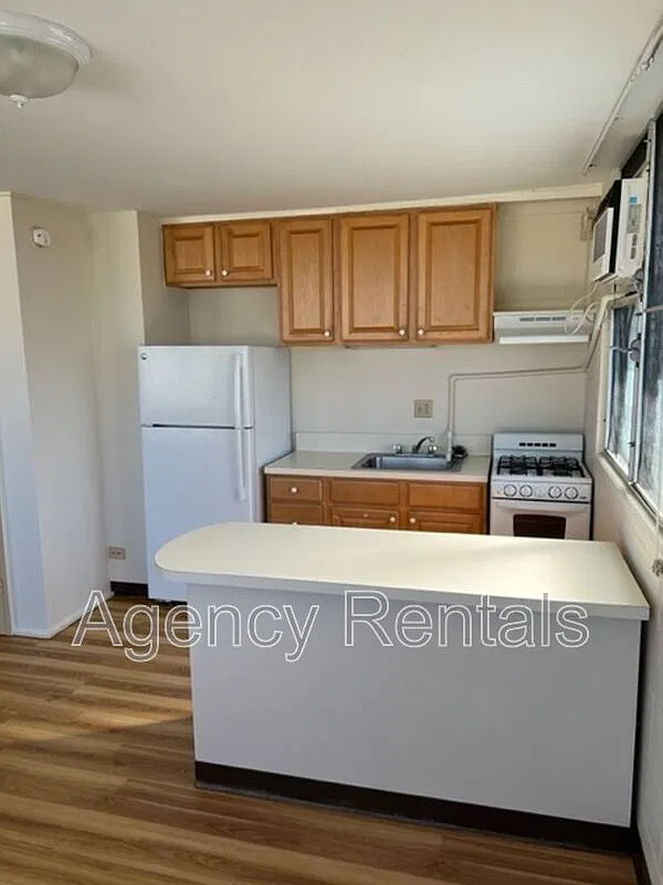 Studio, 1.0 bath, 400 sqft, $1,450 — Photo 4