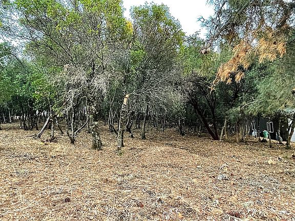 Head On View into Property