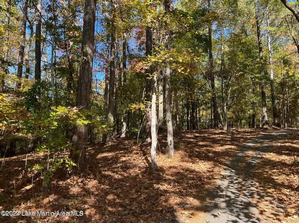 LOT 17 Birdie Run, Dadeville, AL 36853