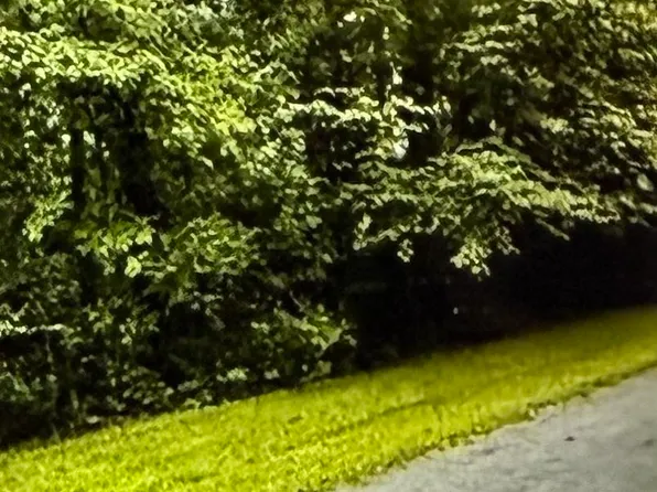 11 Canal St, Childersburg, AL 35044