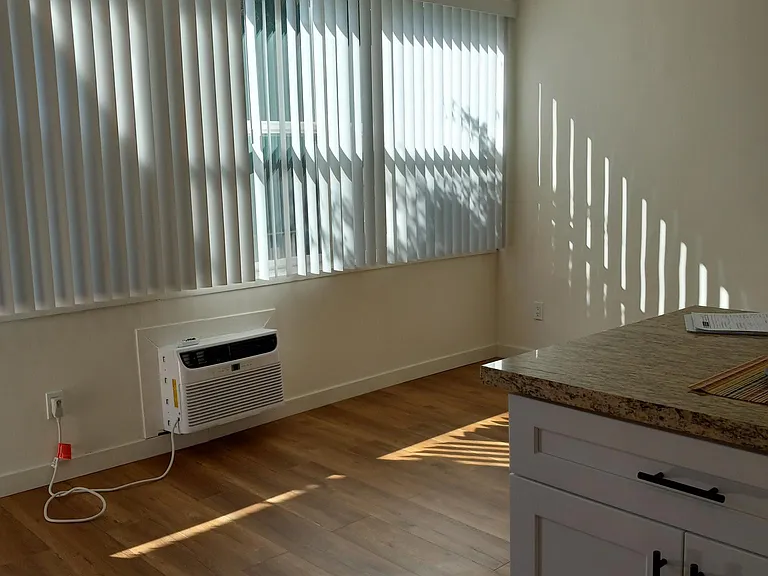 LIVING ROOM WINDOWS