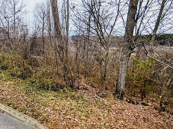 2nd image of LOT 142 Low Valley Rd