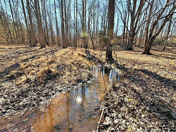 5th image of 1678 Ward Rd