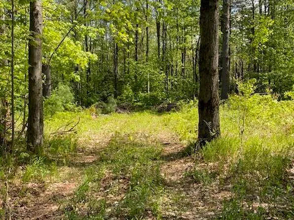 0 George Schnopp Rd, Hinsdale, MA 01235