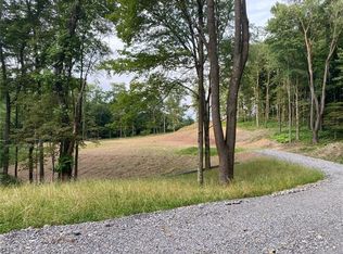 225 Stoup Rd, Mars, PA 16046