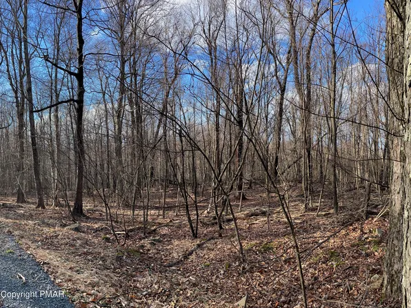 63 Ridge Rd, Newfoundland, PA 18445