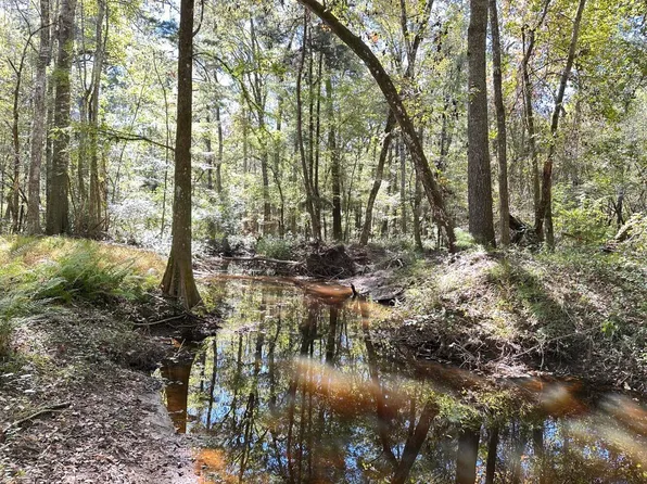 0 Big Bird Ln, Summerville, SC 29483