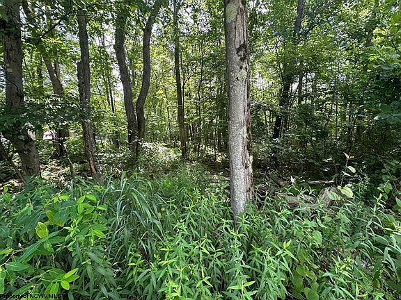 4th image of Lots 133 & 134 Dogwood Ln