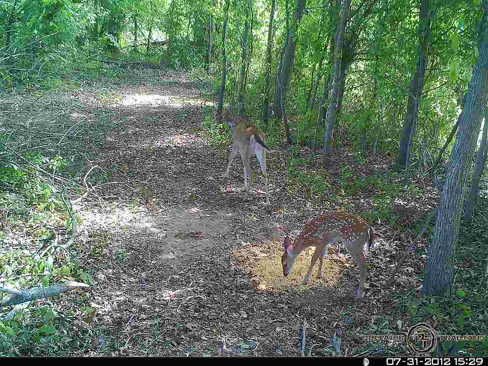 1st image of 1 & 2 Wilkinsville Rd Lot 4