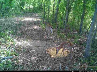 1 & 2 Wilkinsville Rd, Drummonds, TN 38023