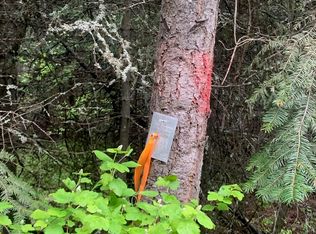 21 Clark Lake Rd, Addy, WA 99101