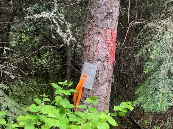 21 Clark Lake Rd, Addy, WA 99101