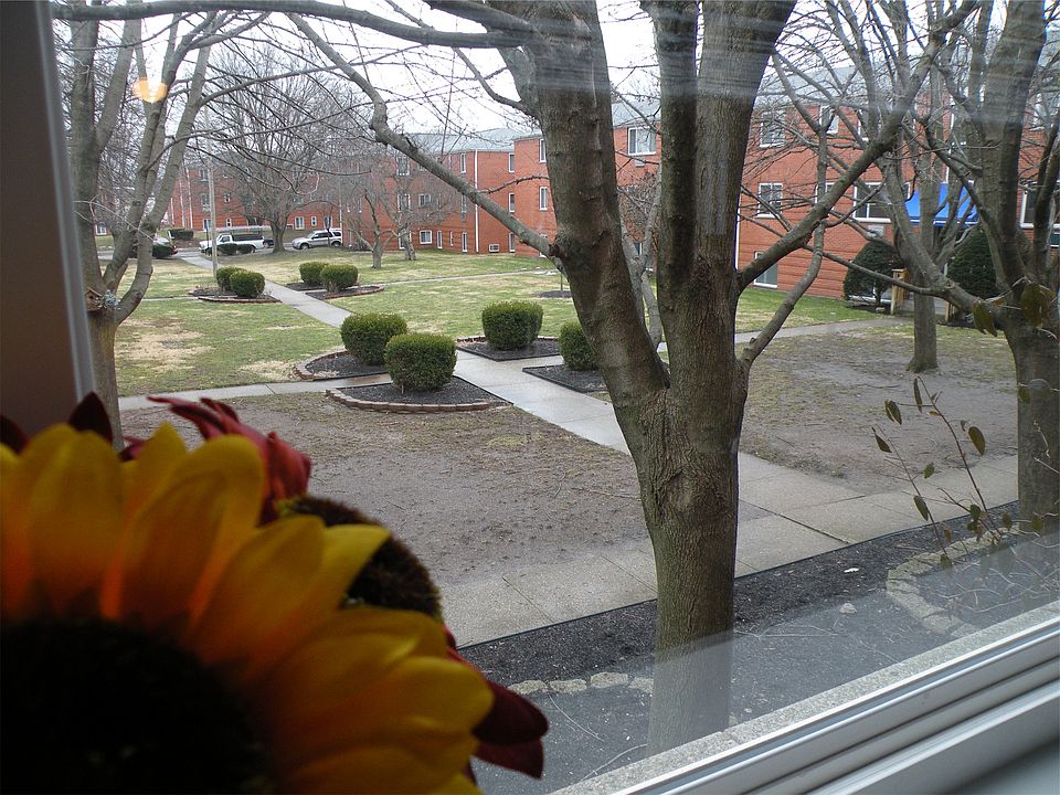 View of courtyard from Family Room.