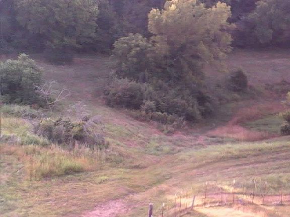 3rd image of 2866 Pulaski Hwy