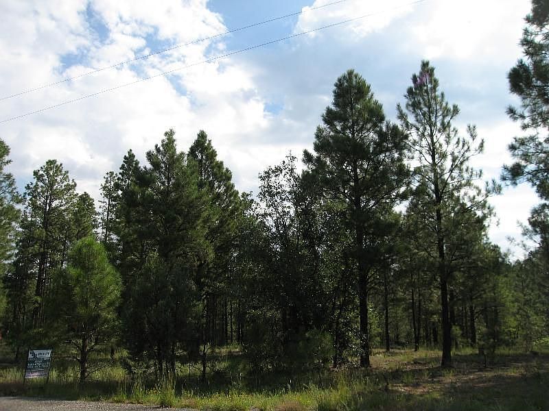2nd image of 2693 Blue Oak Dr