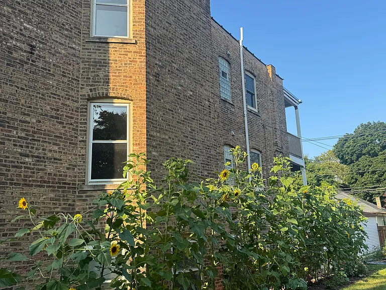 3853 N Hamlin Ave — Photo 17