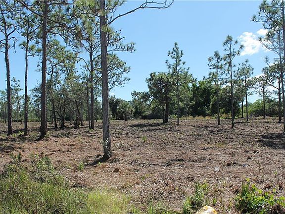 5th image of 5432 Palangos Dr
