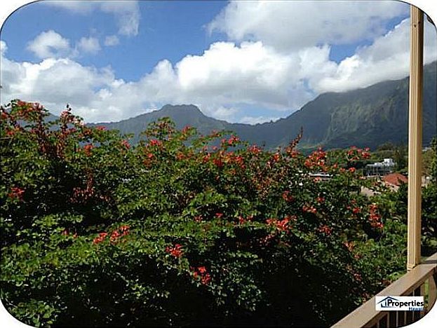 Beautiful Views of the Koolaus