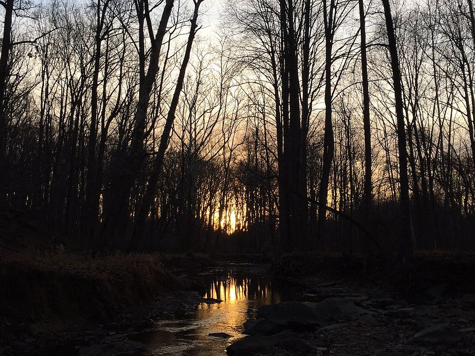 Muddy Branch Park