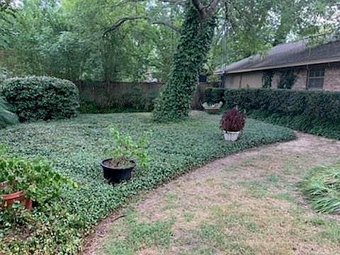 5th image of 25396 Farm Road 137