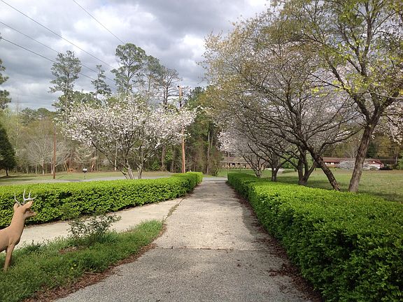 long driveway