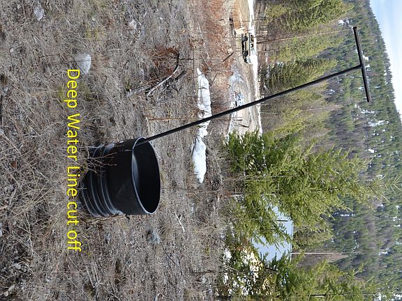3rd image of 194 W Fork Cougar Cres