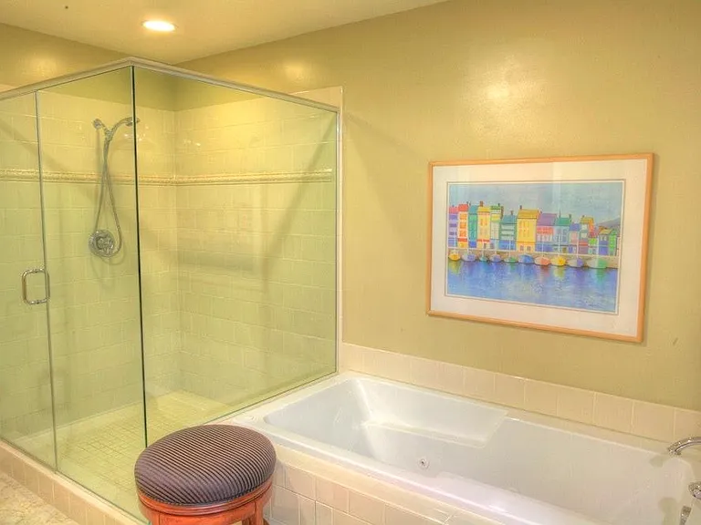 Master bathroom