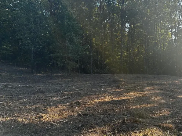 LOT 15 Michael Dr Lot 15, Lake Cormorant, MS 38641