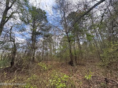 Stephens Rd, Newton, MS, 39345