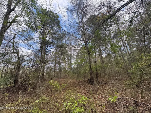 Stephens Rd, Newton, MS 39345