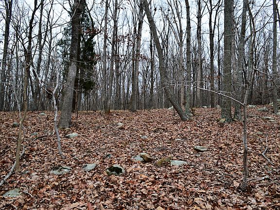 2nd image of 1499 Rocky Cove Ln