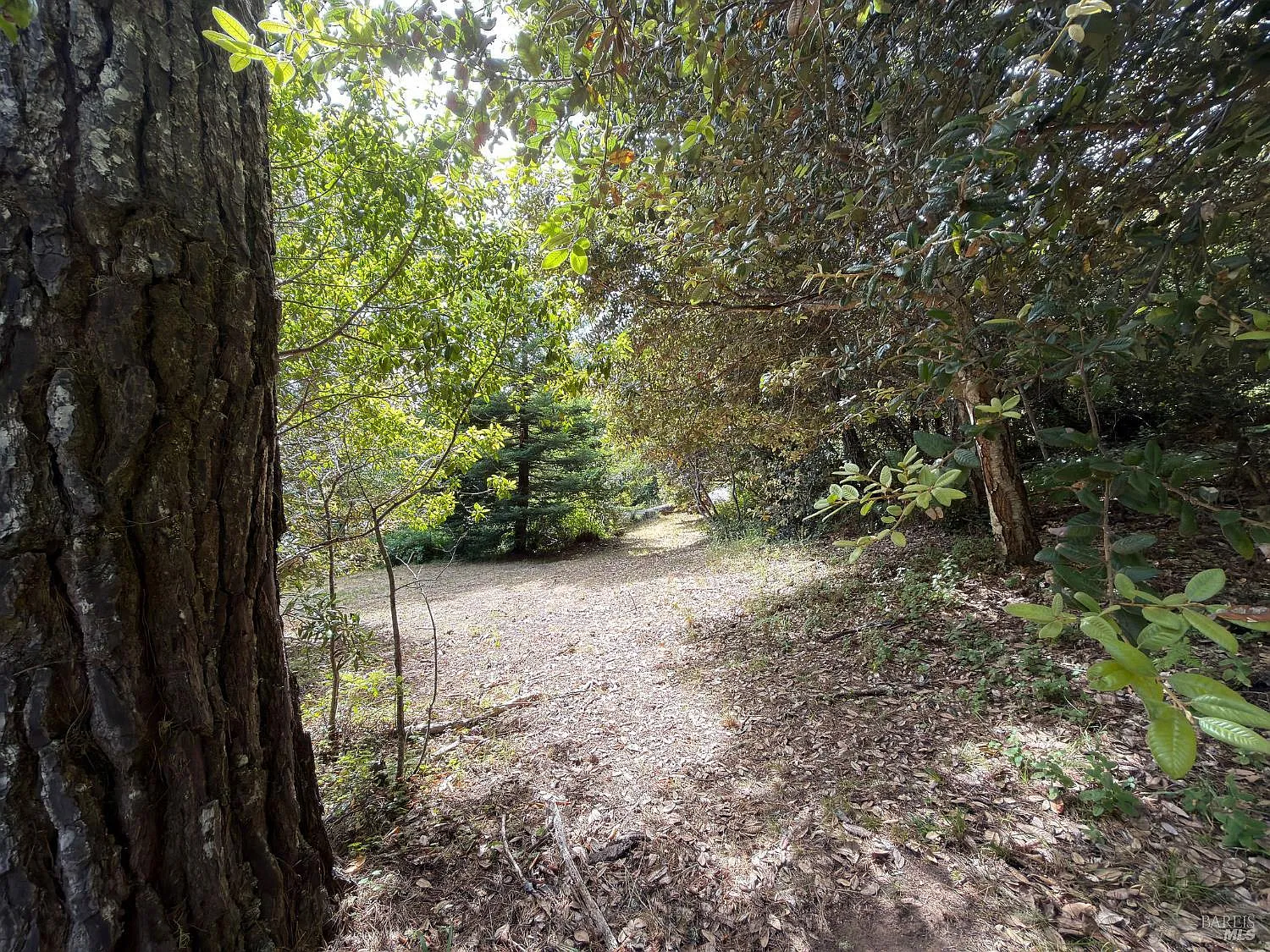 76 Compass Close - Photo 1
