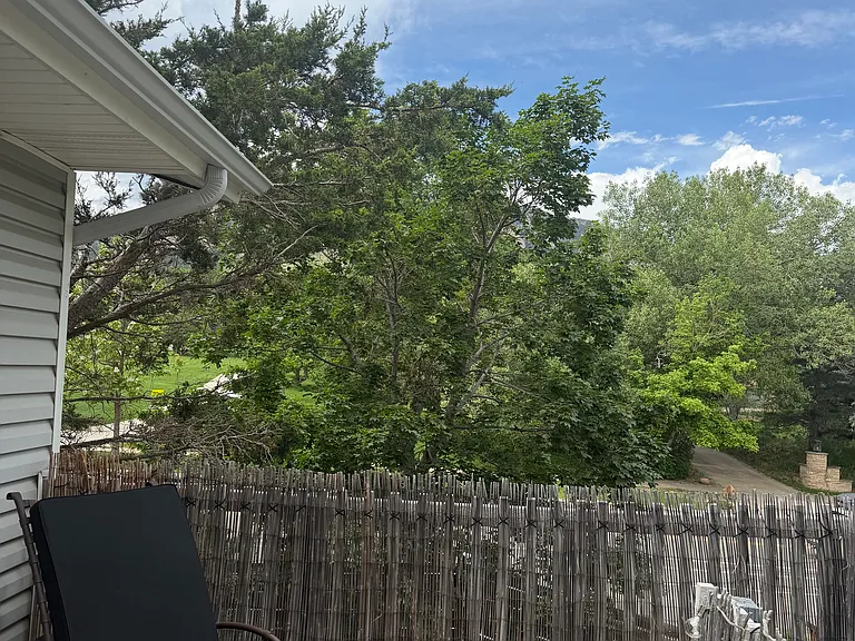2715 Darley Ave — Photo 31