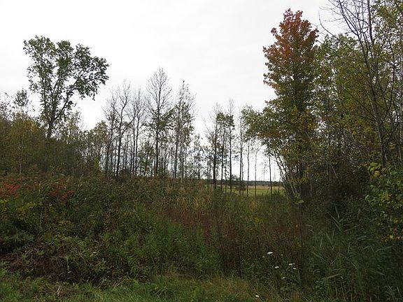4th image of 663 State Highway 37c
