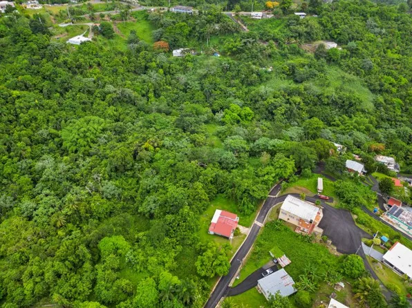 Carr 174 Km 8.12 Sector Mulero Camacho Bo Guaragua, Bayamon, PR 00956