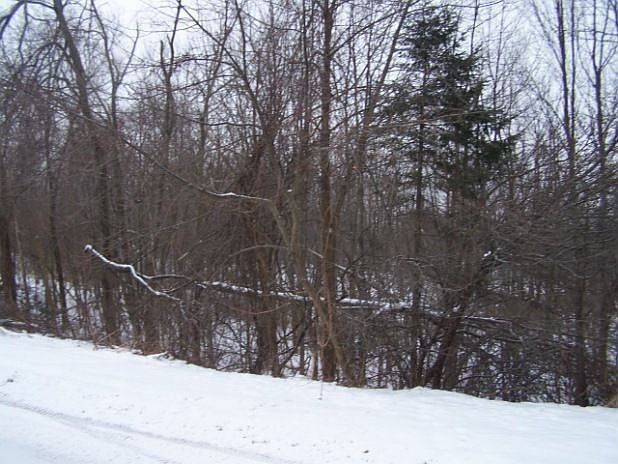 2nd image of 17 Rock Candy Ln