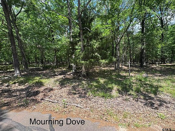5th image of 15 Mourning Dove Ln
