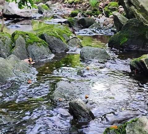 3rd image of 12605 Bluhill Rd