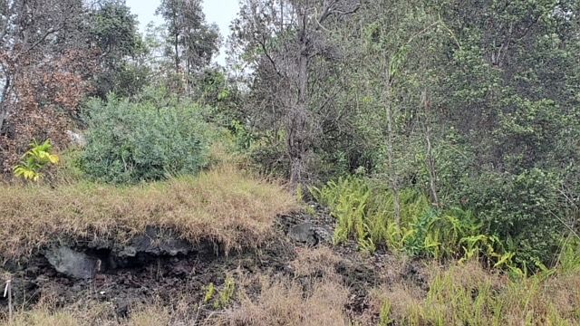 2nd image of King Kamehameha Blvd Lot 15
