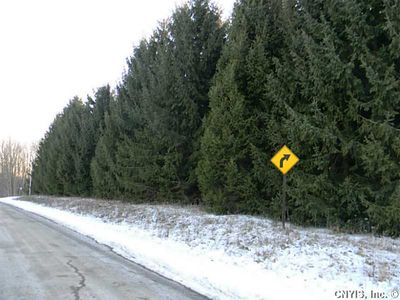 0 Briar Hill Rd, Homer, NY, 13077
