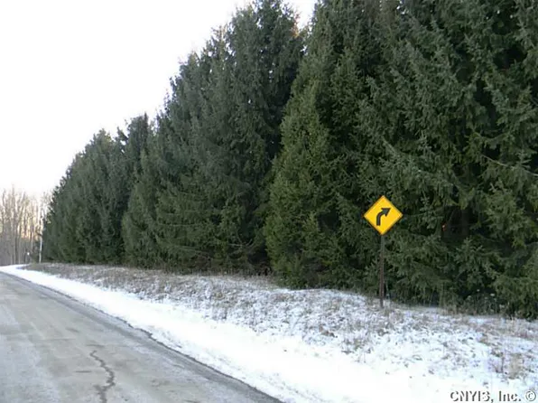 0 Briar Hill Rd, Homer, NY 13077