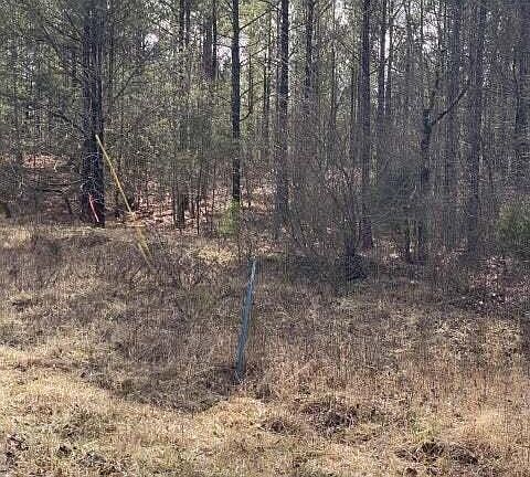 3rd image of 14 Thomas Springs Rd Lot 14