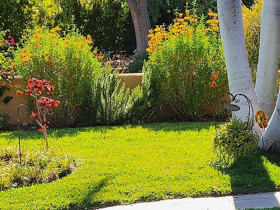 Front yard